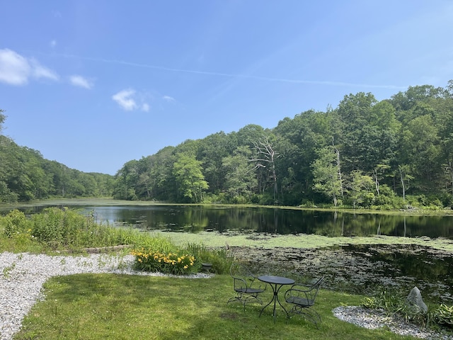 538 Winthrop Rd, Deep River, CT 06417 - water view with a heavily wooded area