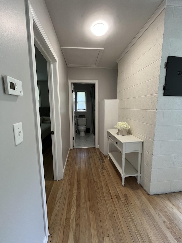 538 Winthrop Rd, Deep River, CT 06417 - hallway with light wood-style flooring, attic access, and concrete block wall