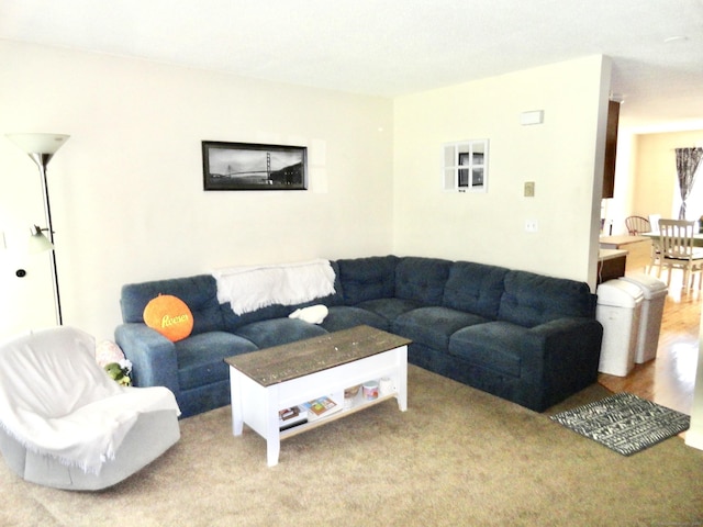 1275 Winsted Rd Unit 101, Torrington, CT 06790 - living area featuring carpet floors