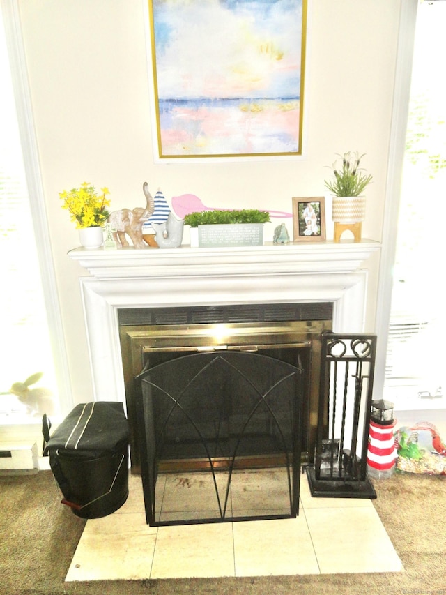 1275 Winsted Rd Unit 101, Torrington, CT 06790 - detailed view of a fireplace and carpet flooring