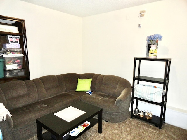1275 Winsted Rd Unit 101, Torrington, CT 06790 - view of carpeted living room