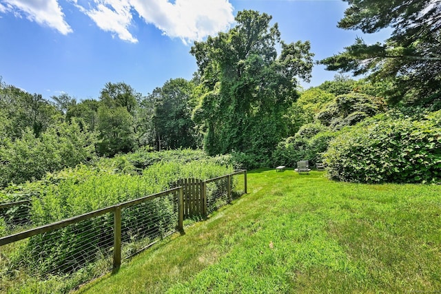 311 Wilton Rd E, Ridgefield, CT 06877 - view of yard with a forest view