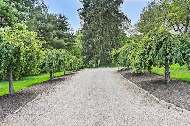 311 Wilton Rd E, Ridgefield, CT 06877 - view of street