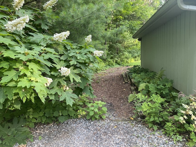 31 Weiss Rd, Haddam, CT 06438 - view of yard