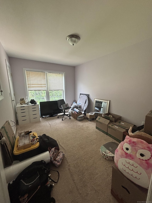 22 Wishing Well Ln Unit 22, New Milford, CT 06776 - miscellaneous room featuring carpet