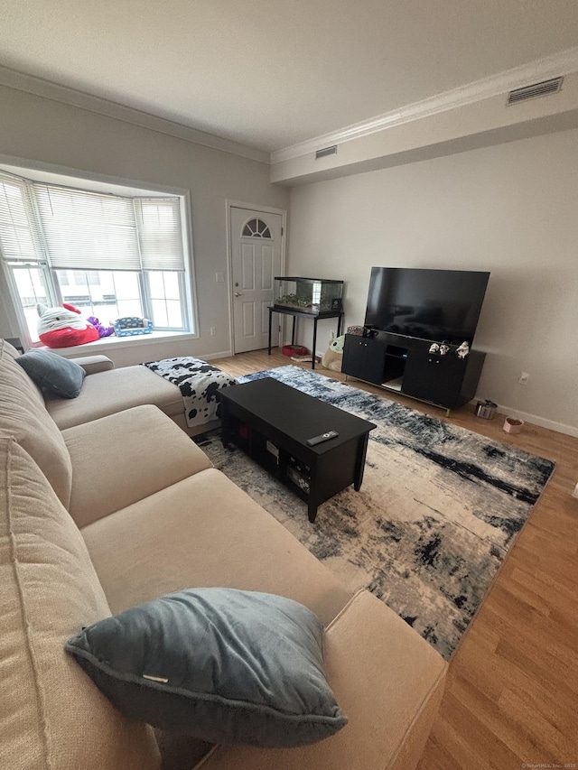 22 Wishing Well Ln Unit 22, New Milford, CT 06776 - living room featuring ornamental molding and wood finished floors