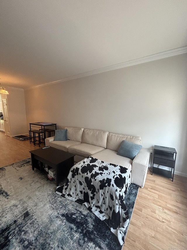 22 Wishing Well Ln Unit 22, New Milford, CT 06776 - living area featuring crown molding, wood finished floors, and a chandelier