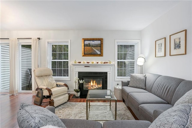 1802 Larson Dr Unit 1802, Danbury, CT 06810 - living area with wood finished floors and a fireplace