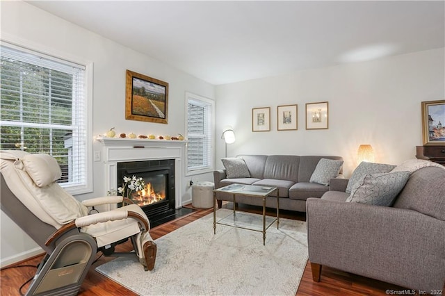 1802 Larson Dr Unit 1802, Danbury, CT 06810 - living room featuring wood finished floors and a fireplace with flush hearth