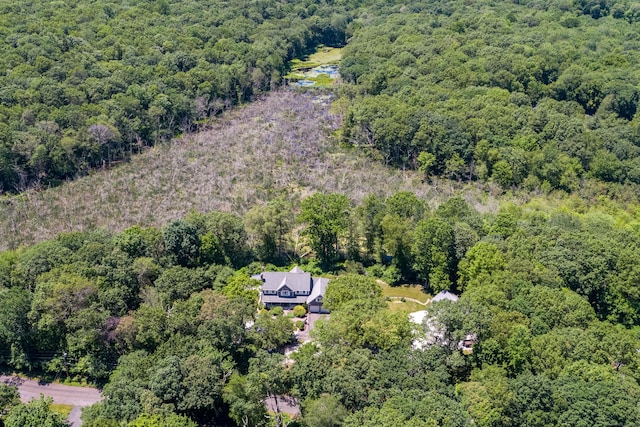 34 Skunk Misery Rd, Haddam, CT 06441 - photo 40
