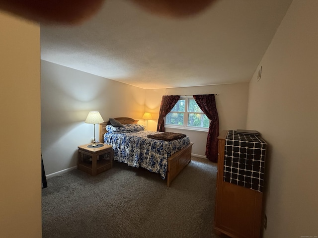 711 Twin Circle Dr Unit 711, South Windsor, CT 06074 - bedroom with carpet