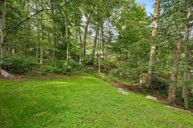 51 Northwood Ln, Stamford, CT 06903 - photo 37
