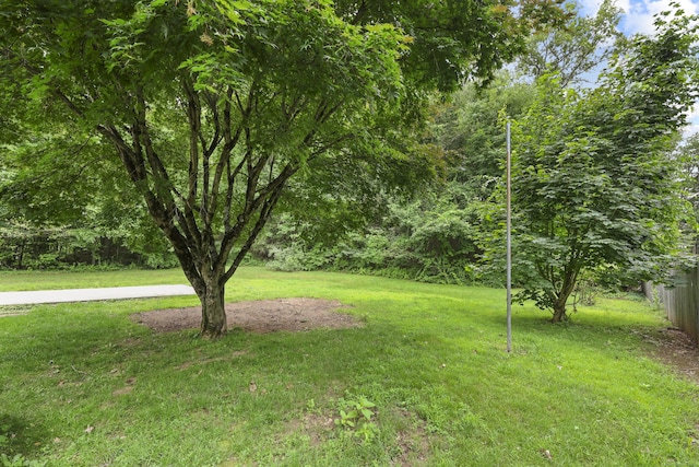 159 Bolton Rd, Vernon, CT 06066 - view of yard