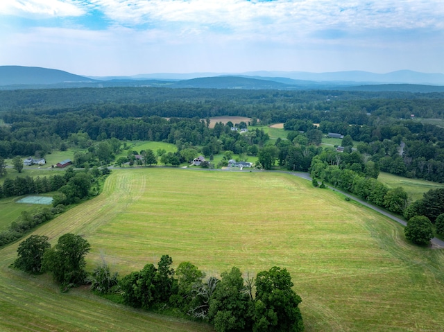 35 Emmons Ln, North Canaan, CT 06018 - overview of rural landscape with a mountain backdrop