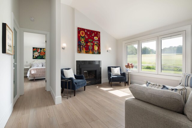 35 Emmons Ln, North Canaan, CT 06018 - living area with light wood-style floors, vaulted ceiling, and a fireplace
