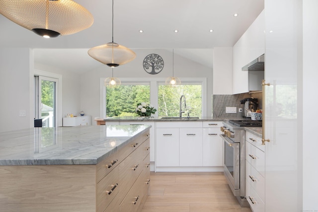 35 Emmons Ln, North Canaan, CT 06018 - kitchen with high end range, range hood, decorative backsplash, light stone countertops, and light wood-type flooring