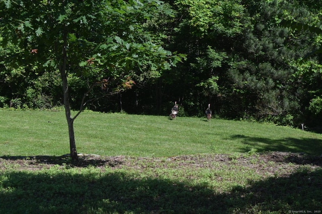 80 Lounsbury Ln, Ridgefield, CT 06877