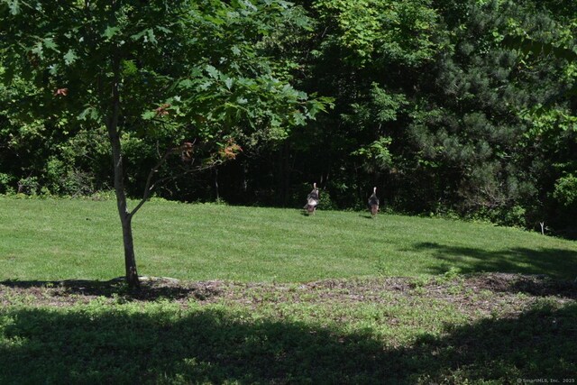 80 Lounsbury Ln, Ridgefield, CT 06877 - photo 13