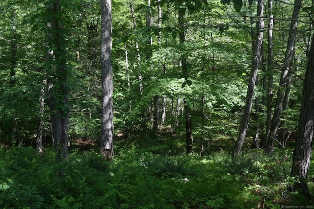 80 Lounsbury Ln, Ridgefield, CT 06877
