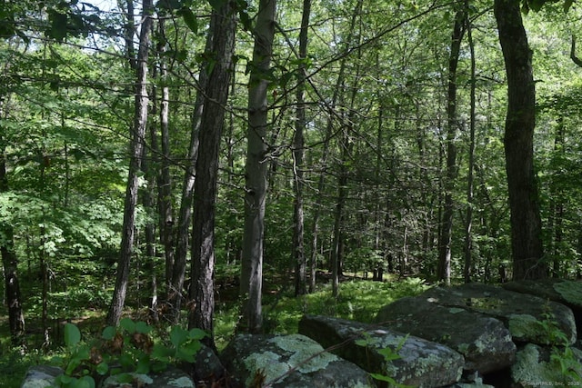 80 Lounsbury Ln, Ridgefield, CT 06877