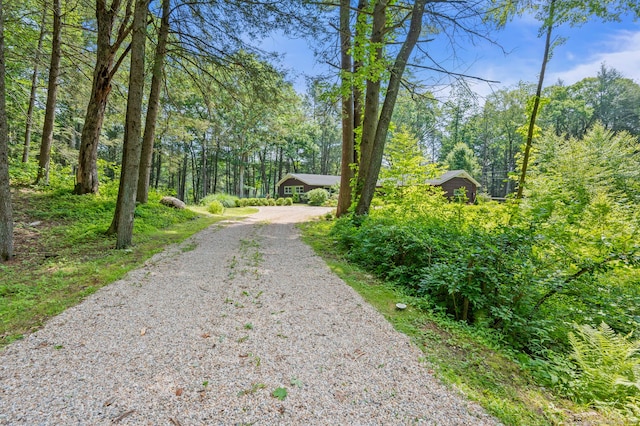114 Cathole Rd, Litchfield, CT 06750 - photo 30