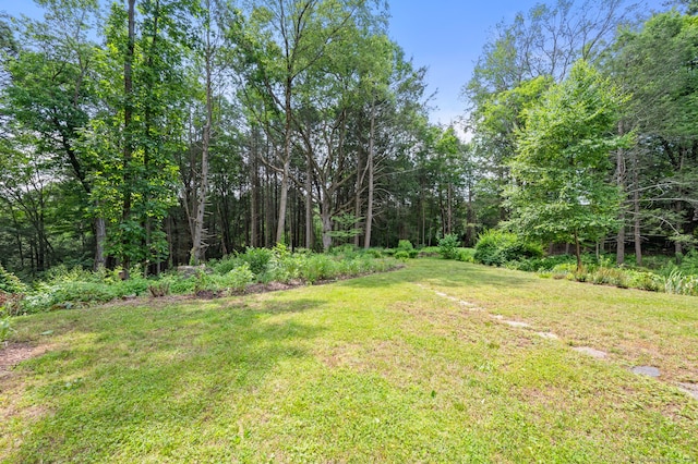 114 Cathole Rd, Litchfield, CT 06750 - photo 4