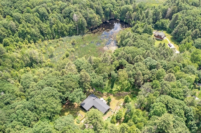 114 Cathole Rd, Litchfield, CT 06750 - photo 27