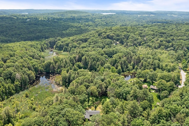 114 Cathole Rd, Litchfield, CT 06750 - photo 29
