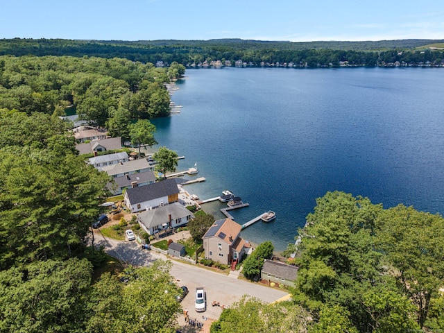 138 S Shore Rd, Killingly, CT 06241 - aerial view of residential area featuring a nearby body of water