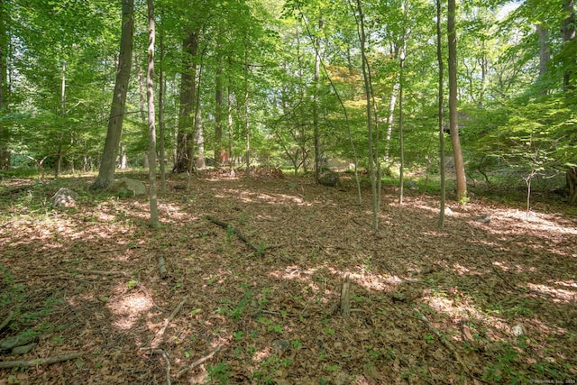 120 Briscoe Rd, New Canaan, CT 06840
