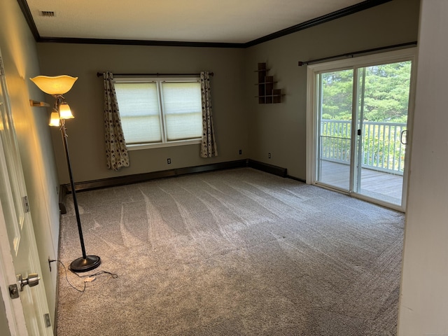 16 Snow Rdg S, Middletown, CT 06457 - spare room with ornamental molding and carpet flooring