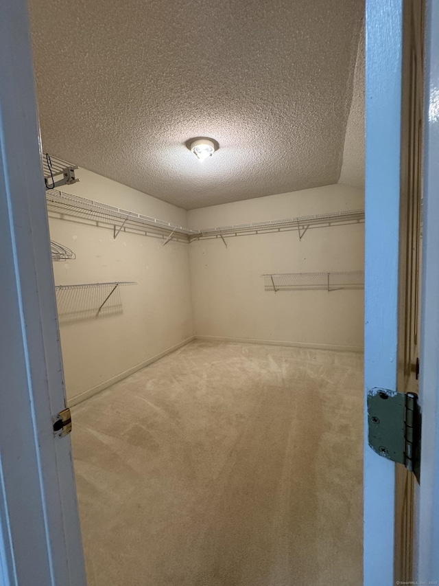 16 Snow Rdg S, Middletown, CT 06457 - spacious closet with carpet flooring