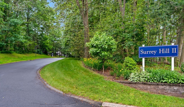 148 Conestoga Way Unit 148, Glastonbury, CT 06033 - view of home's community featuring a yard