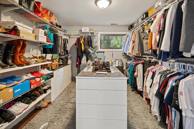 21 Derek Ln, Windsor, CT 06095 - view of walk in closet
