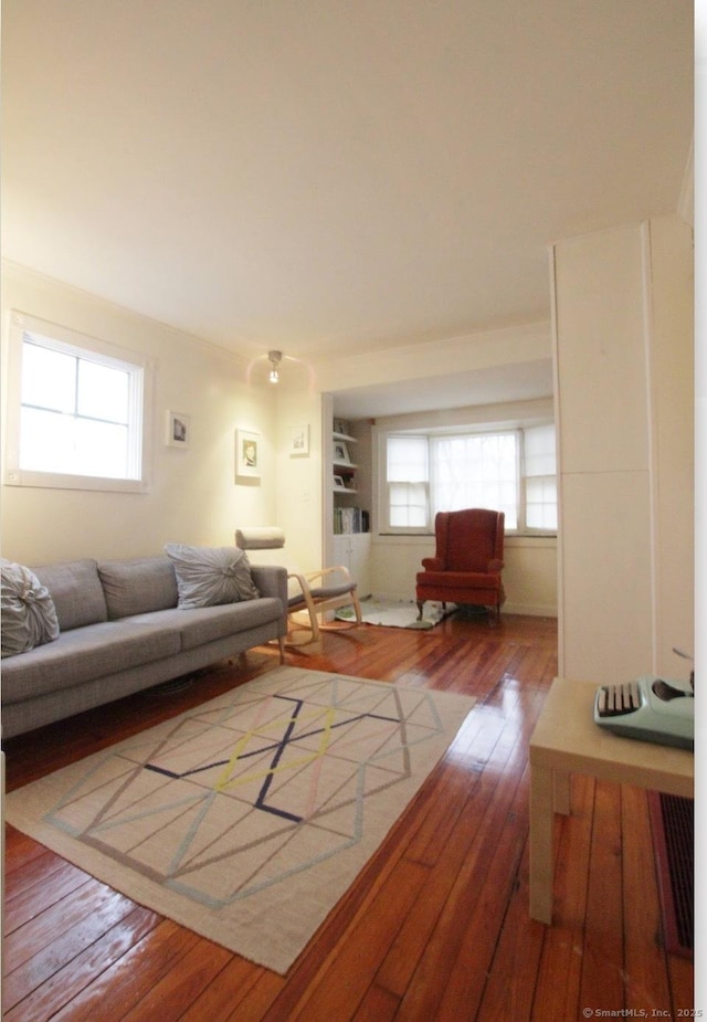 134 Greenwich Ave, New Haven, CT 06519 - living room with wood-type flooring and plenty of natural light