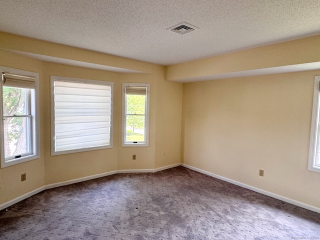 68 Wilson Ave Apt 103, Torrington, CT 06790 - spare room with carpet flooring and a textured ceiling