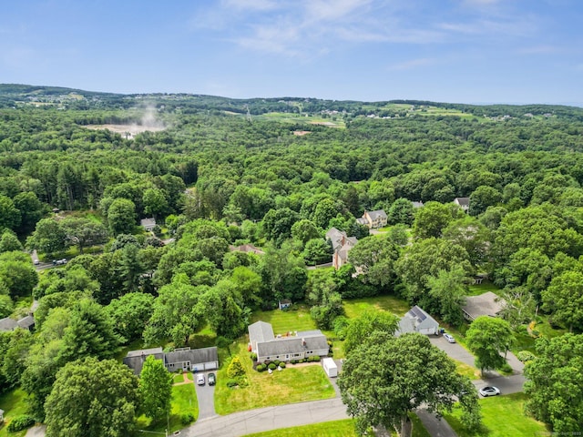 82 Shipman Dr, Glastonbury, CT 06033 - aerial view of a forest