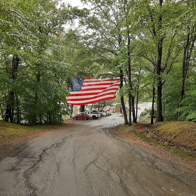 306 Old Colchester Rd Unit 197, Salem, CT 06420 - view of asphalt driveway