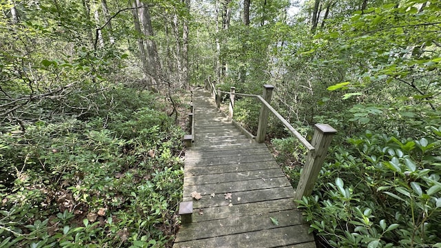 6 Rocky Cove Ln, Cornwall, CT 06796 - view of community