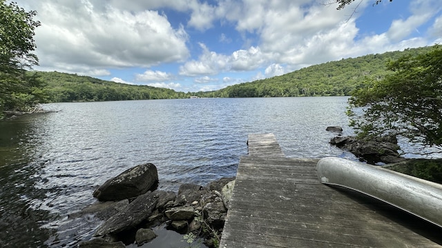 6 Rocky Cove Ln, Cornwall, CT 06796 - dock featuring a forest view and a water view