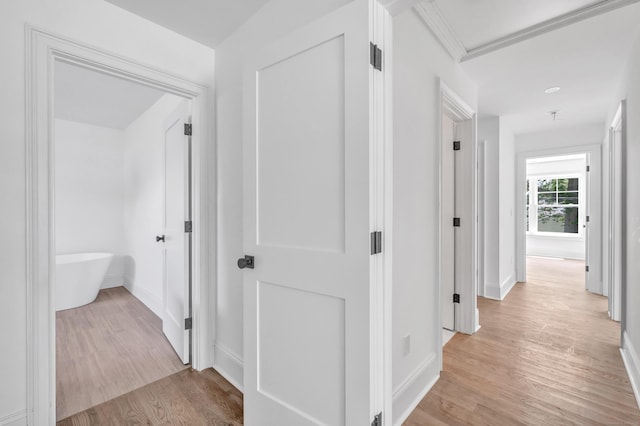 LotA Roseville Street, Fairfield, CT 06825 - hall featuring light wood-type flooring