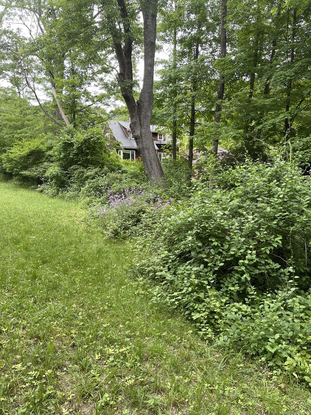 36 Scotland Rd, Norwich, CT 06360 - photo 9