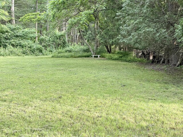 36 Scotland Rd, Norwich, CT 06360 - photo 19