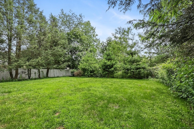 232 Woodridge Dr S, Stamford, CT 06902 - photo 22
