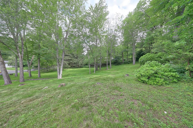 259 Allen St, Plymouth, CT 06786 - photo 7