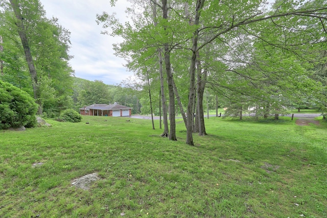 259 Allen St, Plymouth, CT 06786 - photo 32