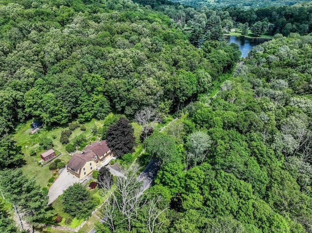 45 Bear Hill Rd, New Milford, CT 06776 - photo 1