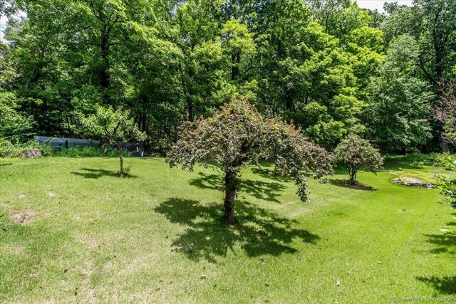 45 Bear Hill Rd, New Milford, CT 06776 - photo 8