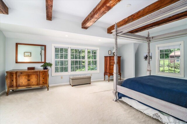 45 Bear Hill Rd, New Milford, CT 06776 - photo 24