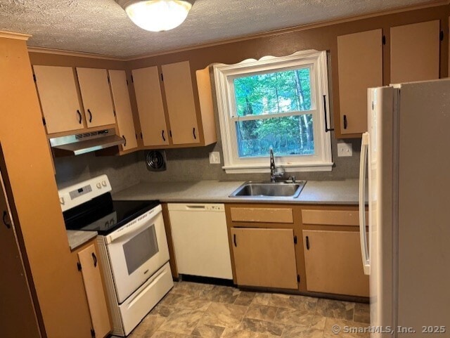 60 Impala Dr, Windham, CT 06226 - photo 6